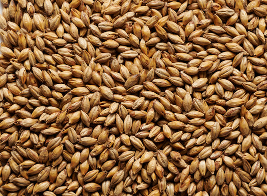 AMBER MALT (Simpsons Malt) per 100g