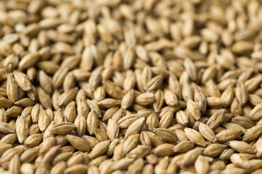 Lager Light Malt (Gladfield) per 100g