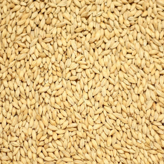 Golden Promise (Simpsons Malt) per 100g