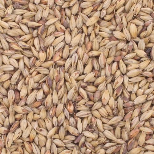 VICTORY MALT (Briess Malt) per 100g